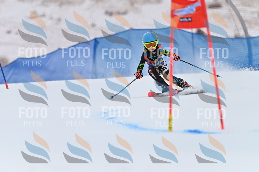 BGV_2116 | holidayphoto