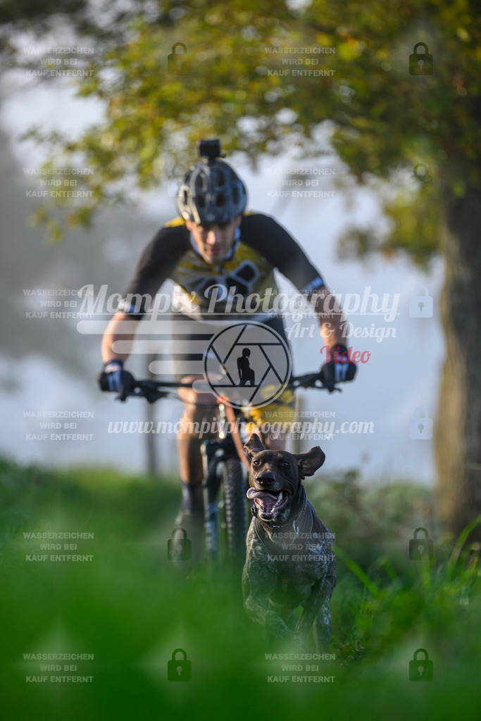 MompixPhotography_20TSB_E3_Bike-17 | PayLife