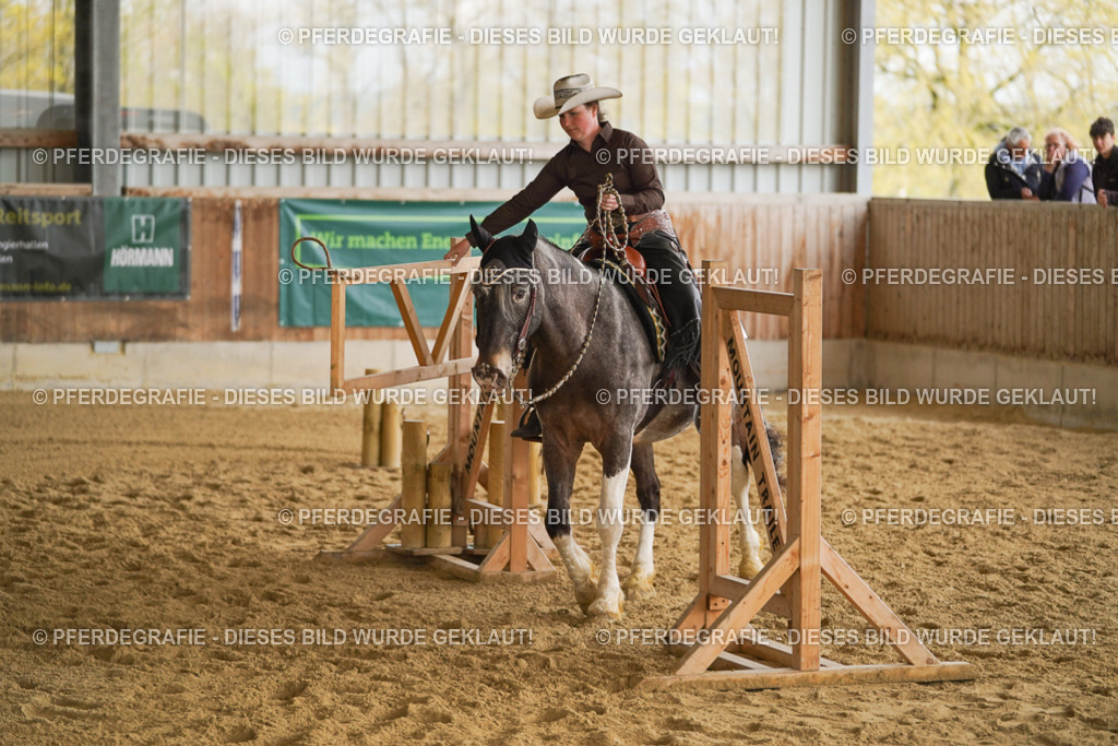 DSC04692 | Pferdegrafie