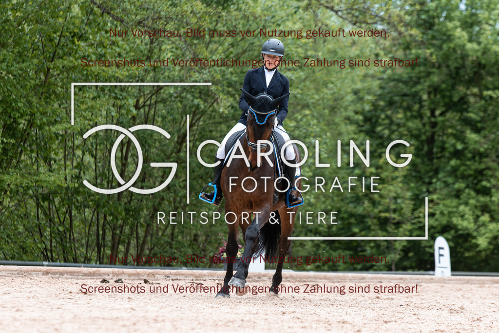 DSC_6863 | Turnierfotografin Carolin Gieschke,Reitsport Turnierfotografie Carolin G Fotografie | Turnierfotos aus Kirchheim/Teck, Esslingen, Stuttgart und dem Bodenseekreis