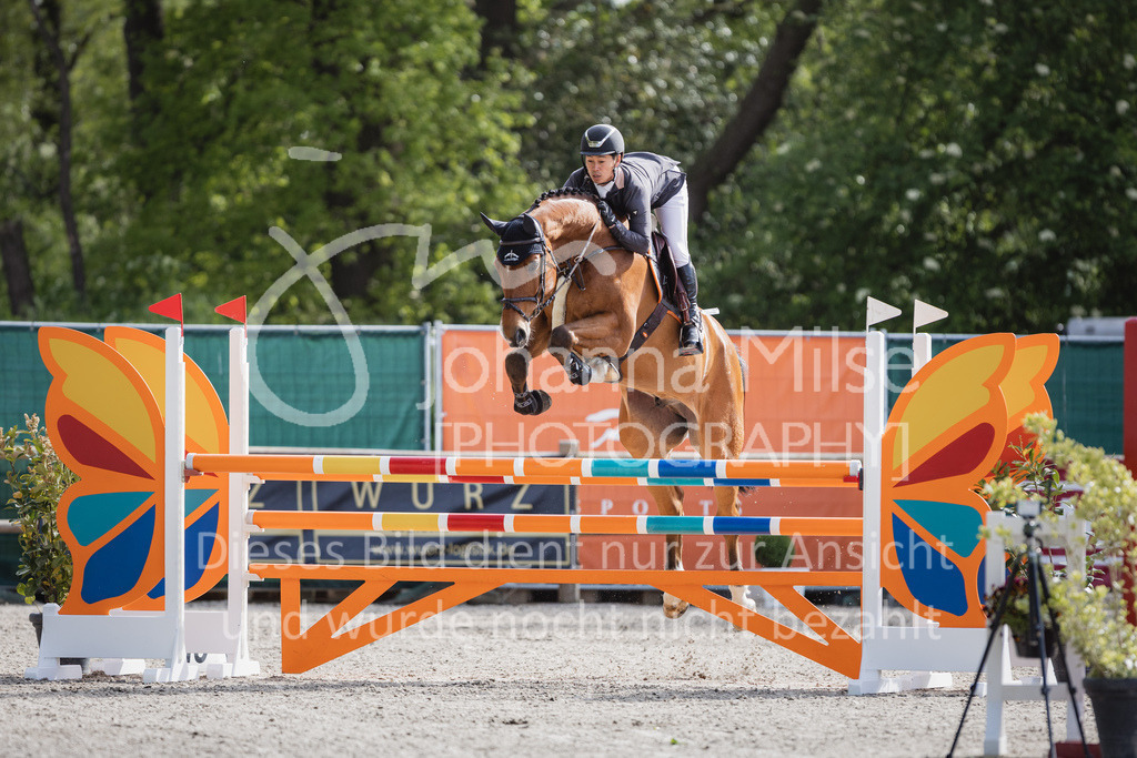 230516_Mühlen_05SprPf-L-503 | Deine schönsten Turniermomente als professionelle Fotos! Entdecke hochwertige Pferdesport-Fotografie im Online-Shop. Jetzt Fotos finden & bestellen!