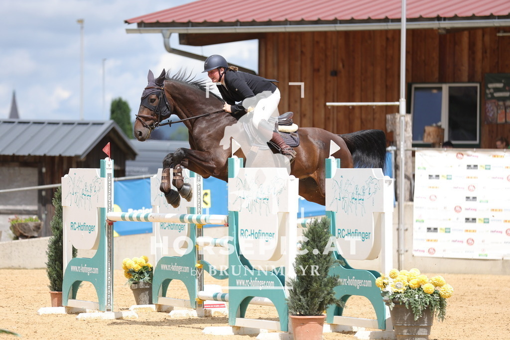 0P6A4500 | Willkommen bei Brunnmayr - Design & Fotografie – Ihrem Spezialisten für Reitturniere und Pferdeveranstaltungen in Oberösterreich, Salzburg und Bayern! Seit über 17 Jahren sind wir leidenschaftlich dabei.