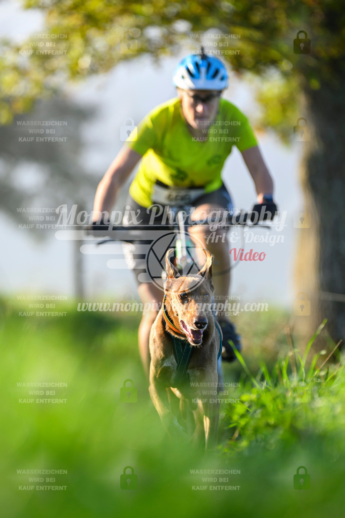 MompixPhotography_20TSB_E3_Bike-198 | PayLife