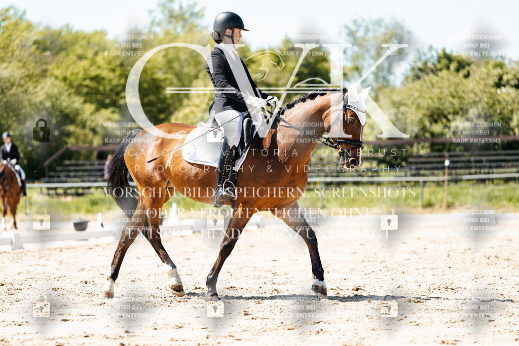 CK905888 | Turnierfotografie Pferdefotografie Trier Rheinland-Pfalz Pferdesport Reitsport Tierfotografie Sportfotografie Pferdevideo Pferdevideografie Equestrianvideography equestrianphotography  - Realisiert mit Pictrs.com
