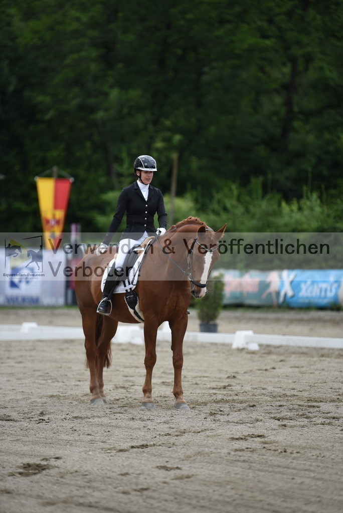 DSC_6242 | equestrian-live-com