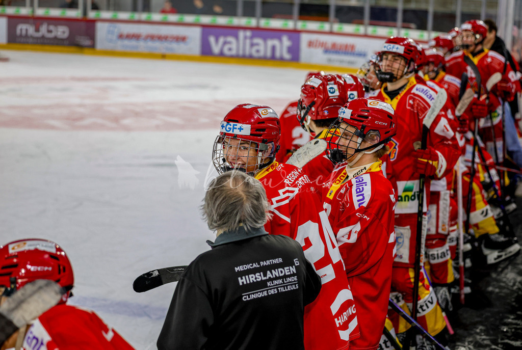 EHCB vs HCD-1439 | Sportbilder, Sportfotograf, Hochzeits- und Eventfotografin, Flugshows, Portraits und Tiershooting, Aviation, Downhill, Nationalleague, Swissleague, International