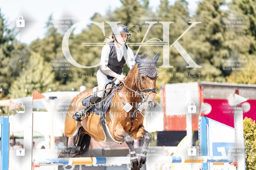 CK900820 | Turnierfotografie Pferdefotografie Trier Rheinland-Pfalz Pferdesport Reitsport Tierfotografie Sportfotografie Pferdevideo Pferdevideografie Equestrianvideography equestrianphotography  - Realisiert mit Pictrs.com