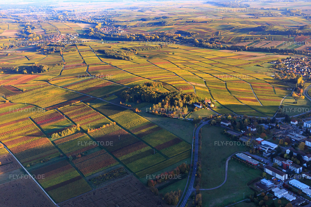 Luftbild: Keschdebuckel mit Klinikfriedhof und Pfälzische Gedenkstätte für die Opfer der NS-Psychiatrie in Göcklingen im Bundesland Rheinland-Pfalz in Deutschland. Foto: IMG_095750.jpg vom 30.10.2016 durch Werner Riehm/FLY-FOTO.deSymbol Peilsender