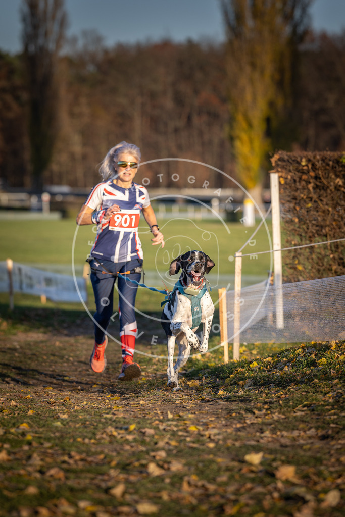 CaniXpix_DV3A4609 | Hundefotografie, Tierfotograf, Pfotenfotografie, Fotoshooting Hund, Hunde Portrait, Hundesport, Hundeportraits, Heideshooting, Hunde, Sportfotograf, Hundefotograf, Turnierhundsport, THS,  - Realisiert mit Pictrs.com