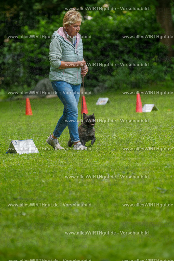 @allesWIRTHgut_Tierfotografie - www.allesWIRTHgut.de - 7R504412 | Professionelle Tierfotografie in Mönchengladbach von Daniel Wirth (allesWIRTHgut). Liebevolle & natürliche Bilder von Hunden & Katzen für unvergessliche Erinnerungen.