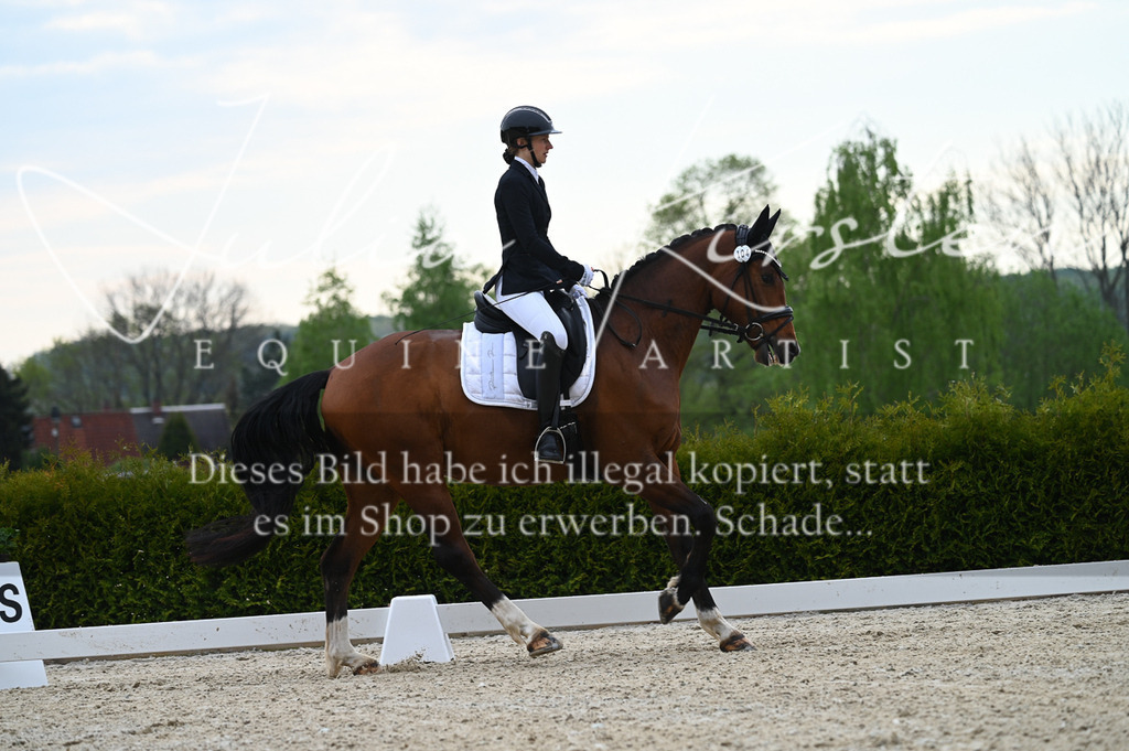 20230512_JK-Röhrsdorf-02-154 | Pferde- und Turnierfotografie in Westsachsen. Pferdeportraits, Auftragszeichnungen und intuitive Kunst.