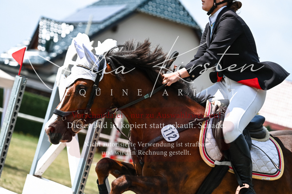 DSC_9461 | Pferde- und Turnierfotografie in Westsachsen. Pferdeportraits, Auftragszeichnungen und intuitive Kunst.