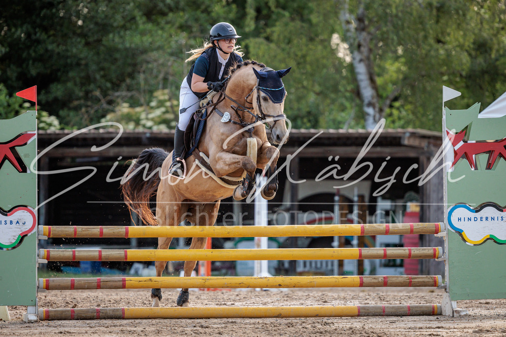20260529-_3LI1519 | Tierfotografie Pferde, Hunde, Katzen, Haustiere.
Turnierfotografie Reitturniere, Reiten, Springreiten, Dressur in Hanau, dem Main-Kinzig-Kreis und dem Rhein-Main- Gebiet um Frankfurt