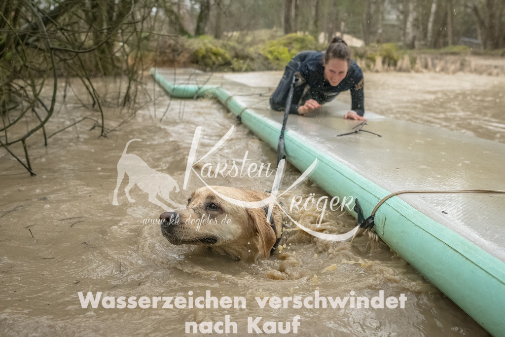 1050_ZZ93565-Bearbeitet | kk-dogfotos