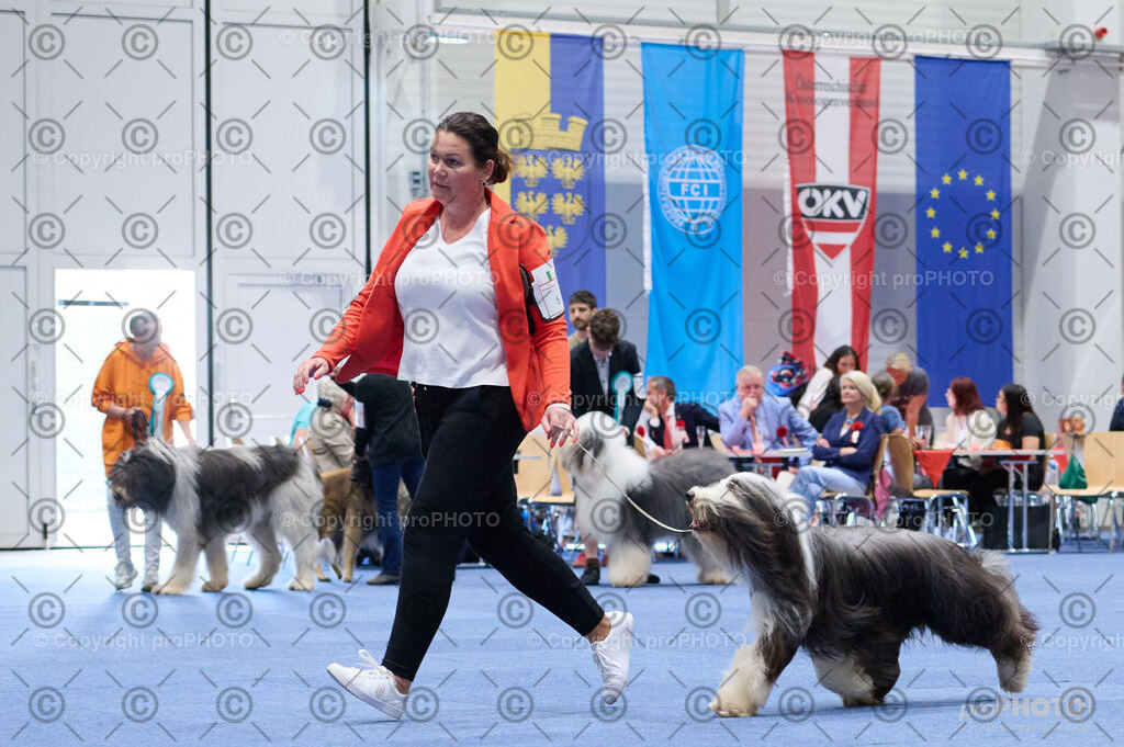 202406_ÖKV-IHA-Tulln24_DSC_2853 | proPHOTO - Realisiert mit Pictrs.com