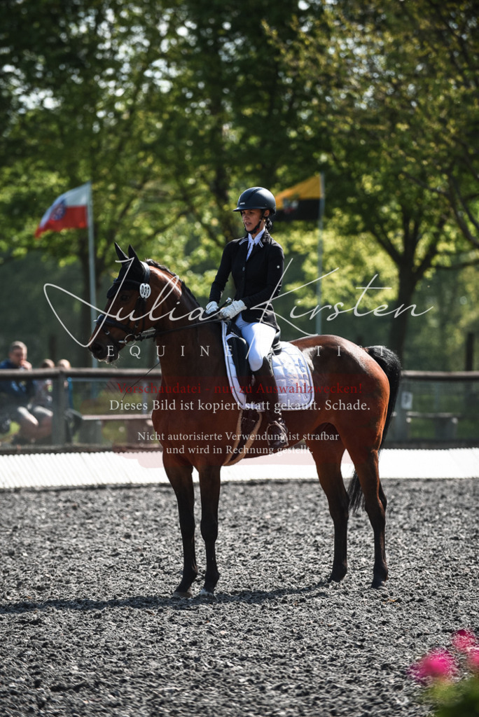 DSC_8914 | Pferde- und Turnierfotografie in Westsachsen. Pferdeportraits, Auftragszeichnungen und intuitive Kunst.