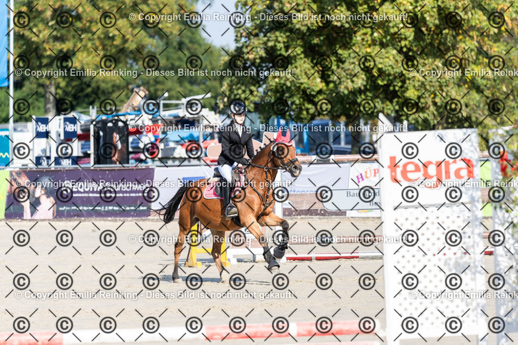 CL5A0070 | Emilia Reinking Fotografie - Realisiert mit Pictrs.com