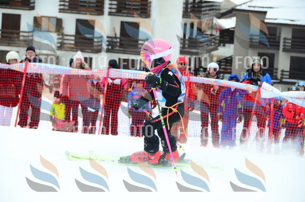 DSC_0713 | holidayphoto