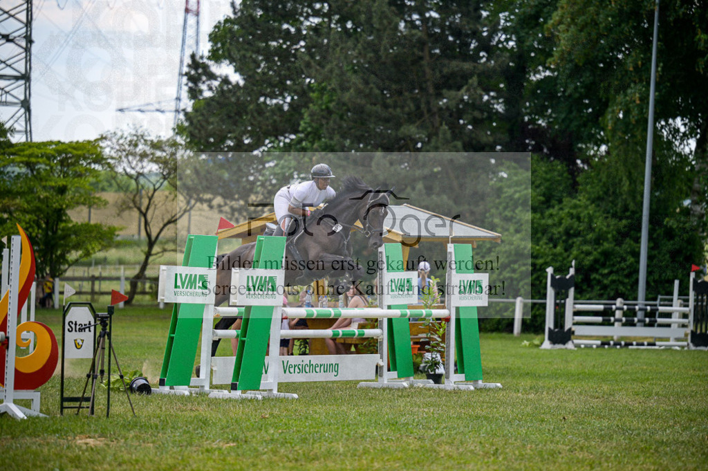 Reitturnier Voxtrup | Entdecke hochwertige Reitturnierfotos von Foto Oger. Professionell, emotional und authentisch – jetzt Lieblingsmomente im Shop bestellen. - Realisiert mit Pictrs.com