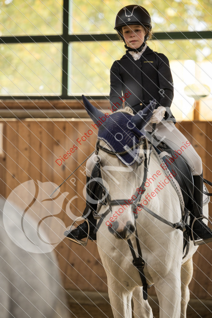 CON_6030 | Sport-, Event- und Tierfotos in Profiqualität. Einfach auswählen, bestellen und herunterladen. Dein Moment – perfekt festgehalten.
