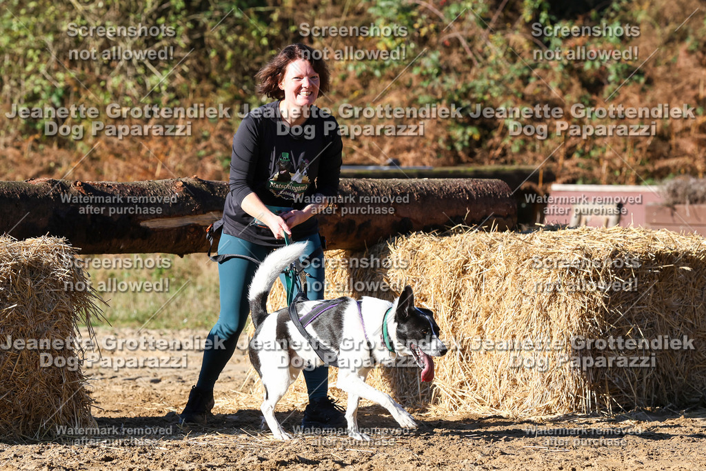 Dog Paparazzi - Strongdog 10-25-1741 | Dog Paparazzi Jeanette Grottendiek Fotografie & Videografie - Realisiert mit Pictrs.com