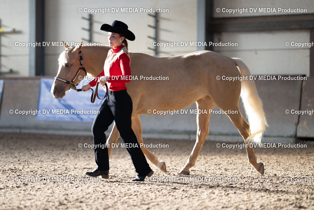 LM Heiligenwald Tag 1-51 | dv-media-shop - Realisiert mit Pictrs.com