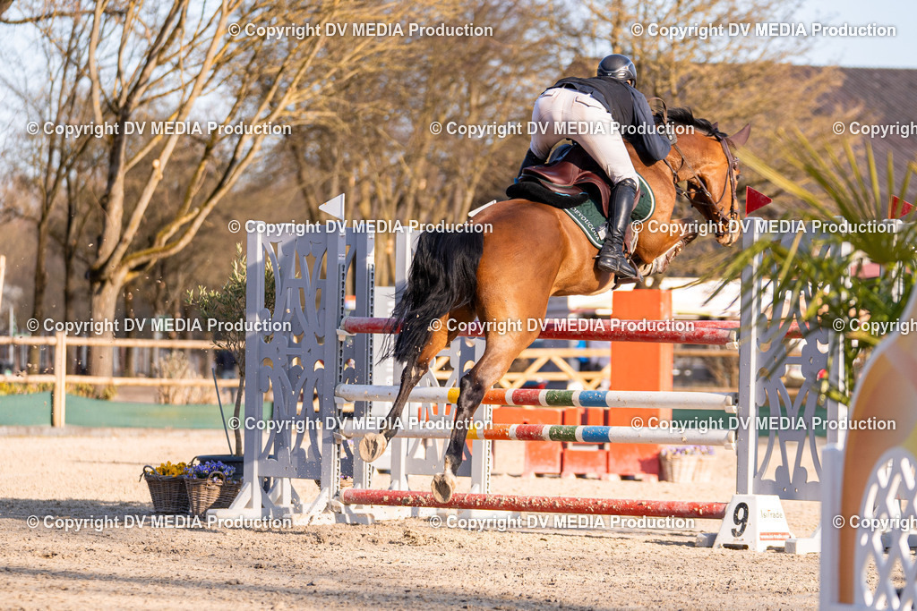 Kranichstein Tag 2-1148 | dv-media-shop - Realisiert mit Pictrs.com