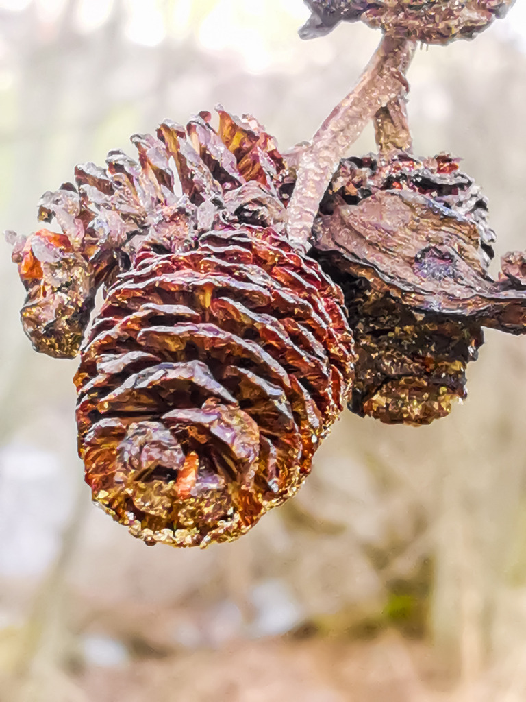 PSX_20230228_235458 | mtkfoto_ - Realisiert mit Pictrs.com