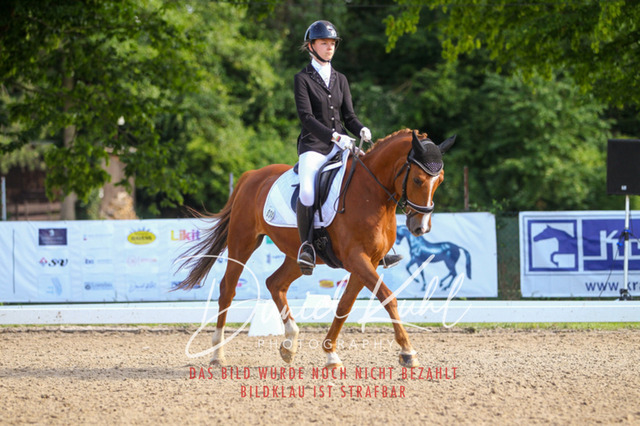 DKP43043 | Turniersportfotografie; Pferdefotografie; Dressurfotografie