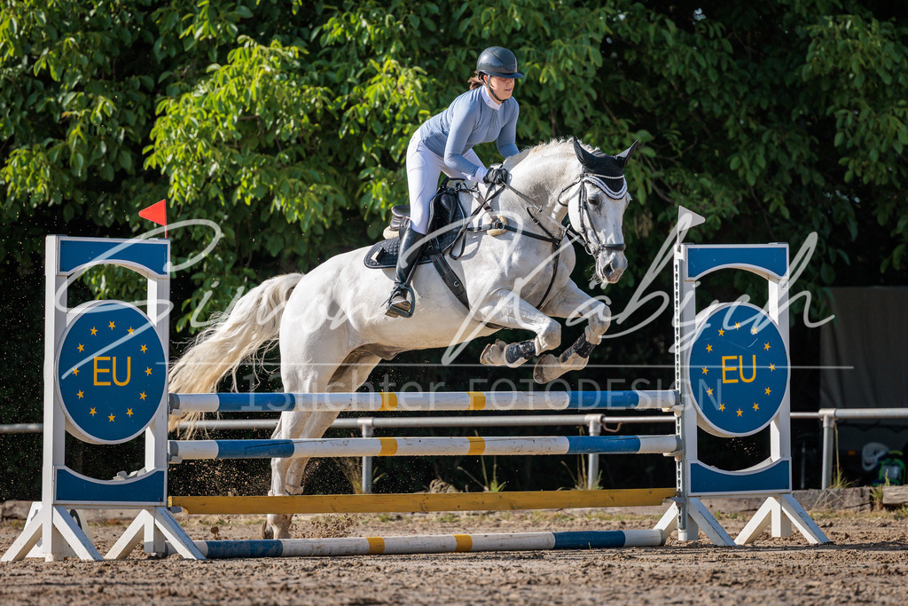 20260529-_3LI0184 | Tierfotografie Pferde, Hunde, Katzen, Haustiere.
Turnierfotografie Reitturniere, Reiten, Springreiten, Dressur in Hanau, dem Main-Kinzig-Kreis und dem Rhein-Main- Gebiet um Frankfurt