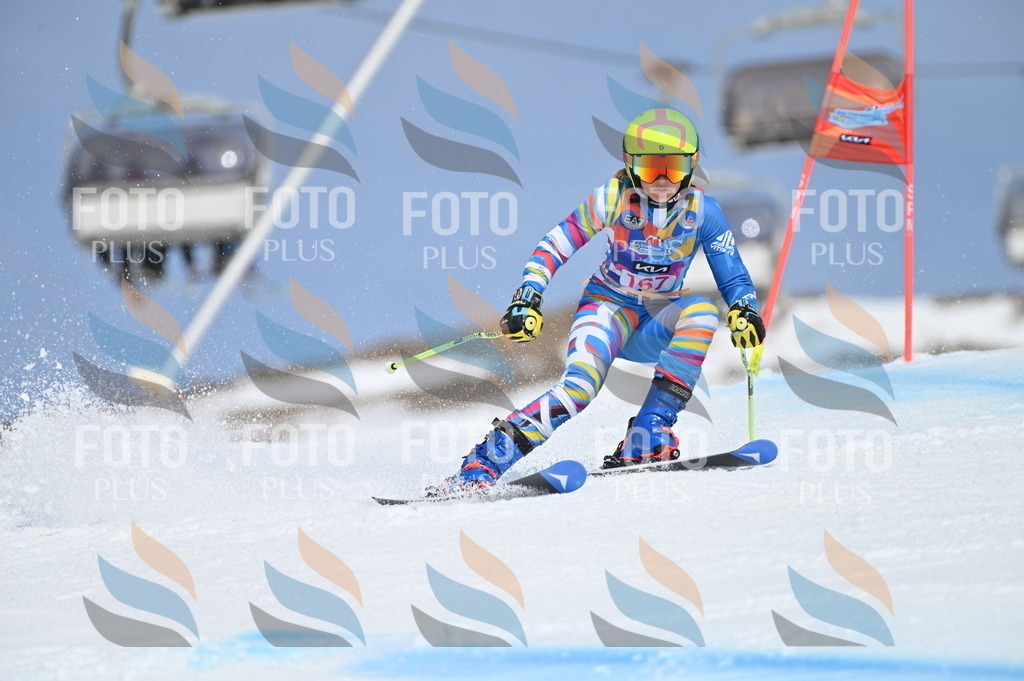 BGV_0374 | holidayphoto