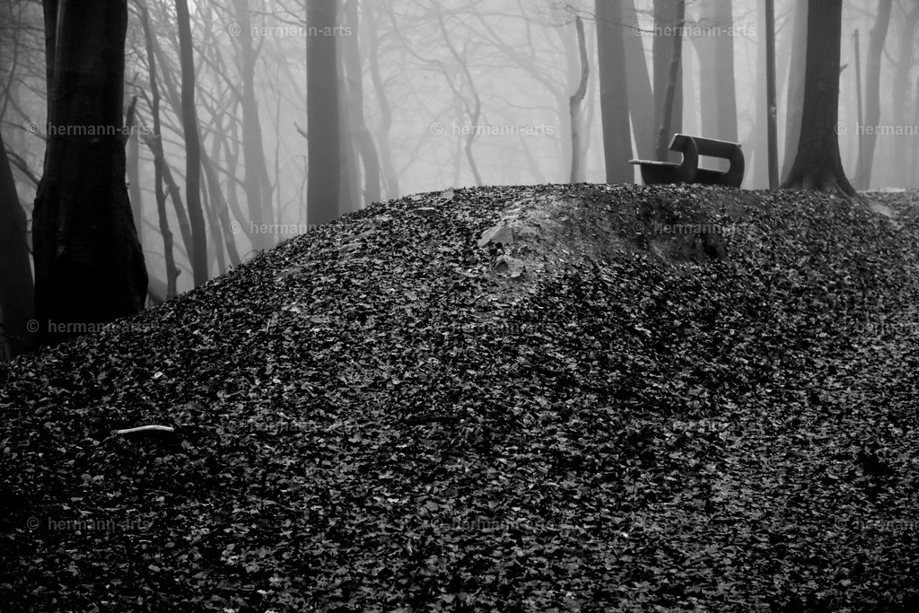 Trees_fine_Art_0062 | Photo Foto Kunst Art schwarzweiss Bilder Rheine Münster Berlin Blumen 