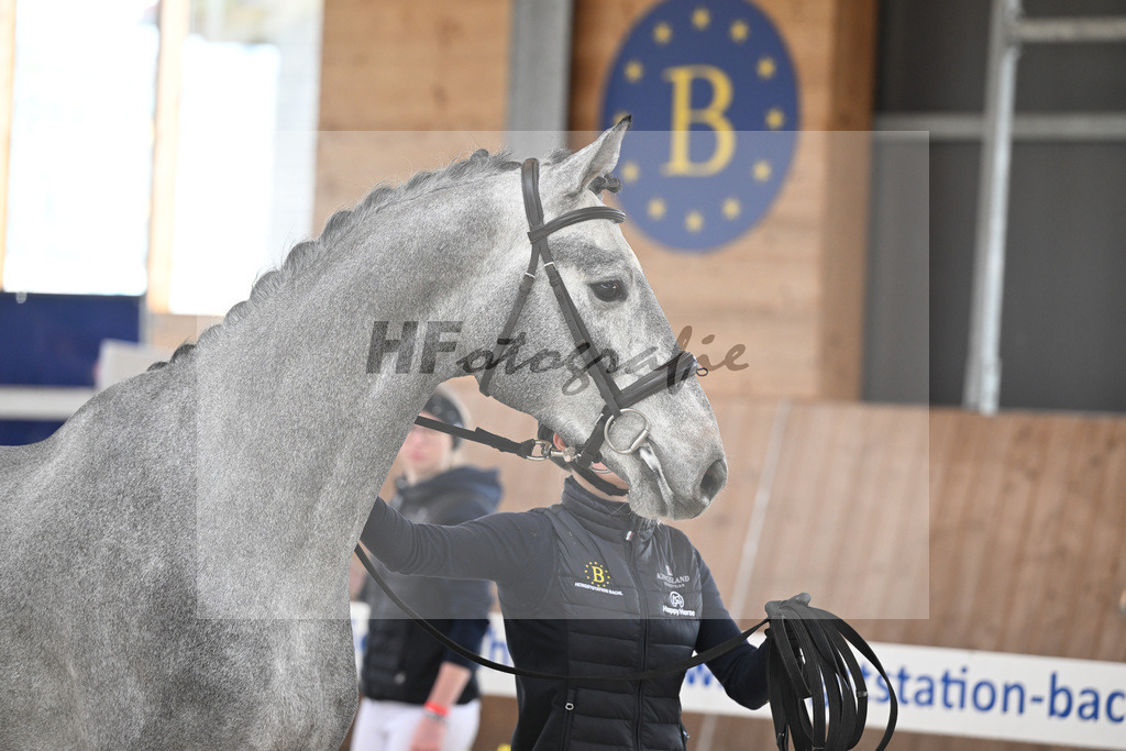 Kat-Nr. 71 HTCBs Casalgino Ve v. Vingino_Barlaup_14260385 | hf-fotografie - Realizzato con Pictrs.com