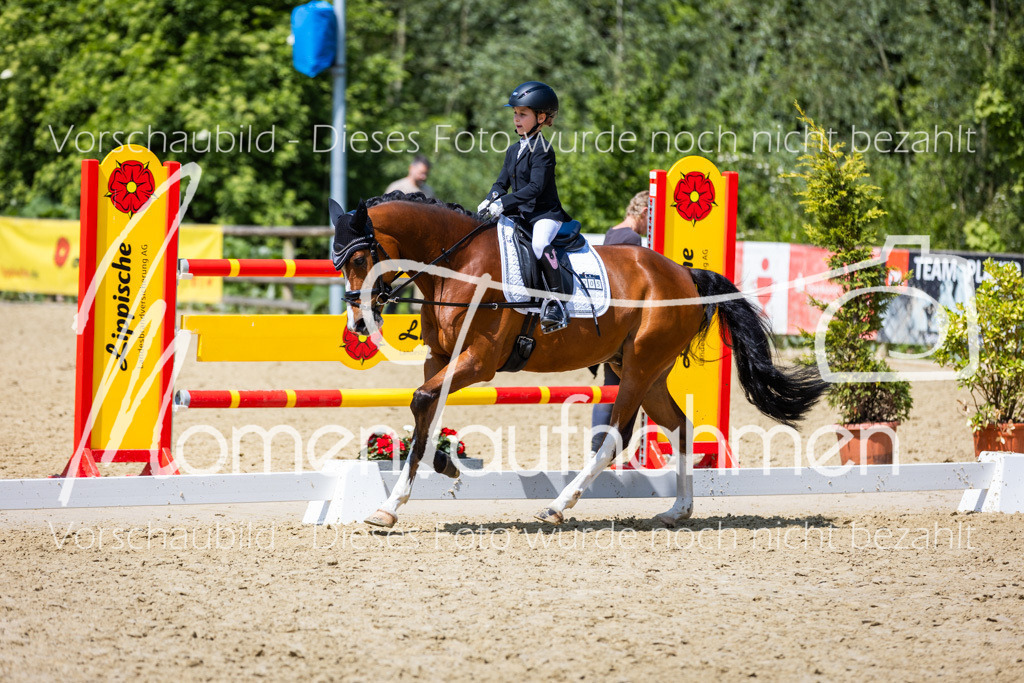 Donop24-RWB-047 | MomenTaufnahmen Pferdesportfotos