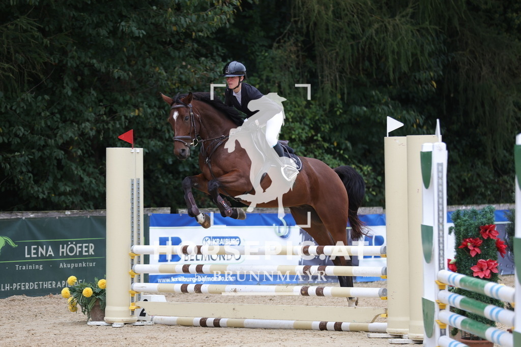 0P6A5524 | Willkommen bei Brunnmayr - Design & Fotografie – Ihrem Spezialisten für Reitturniere und Pferdeveranstaltungen in Oberösterreich, Salzburg und Bayern! Seit über 17 Jahren sind wir leidenschaftlich dabei.