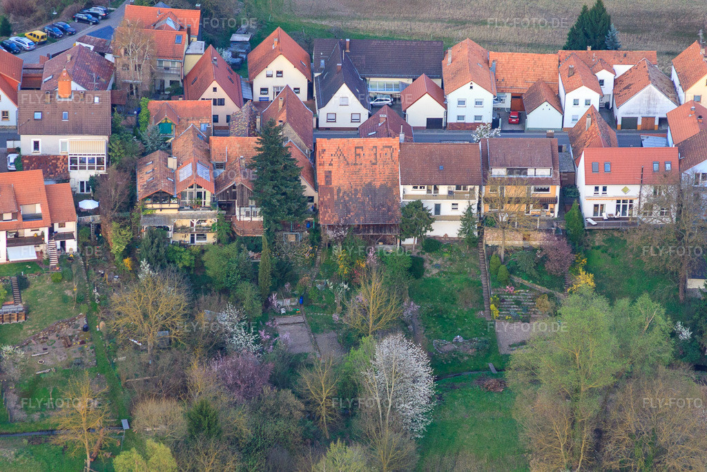 Luftbild: Ludwigstraße von Westen in Jockgrim im Bundesland Rheinland-Pfalz in Deutschland. Foto: IMG_63446.jpg vom 28.03.2014 durch Werner Riehm/FLY-FOTO.de