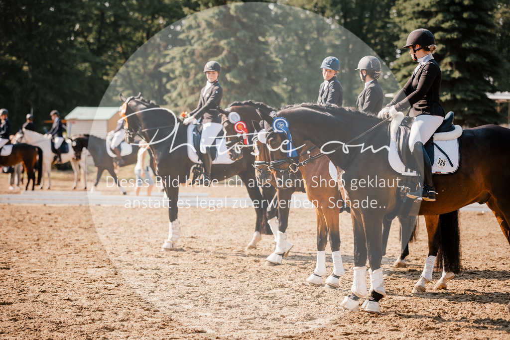 3I6A9209 | Stimmungsvolle Portraits und Reitsportfotografie im Ruhrgebiet und im Münsterland.

Pferdefotografie, Hundefotografie, Tierfotografie, Reportagen, Portraits von Tier und Mensch, Turnierfotografie in Bochum, Recklinghausen, Marl, Haltern am See, Dülmen.. - Realisiert mit Pictrs.com