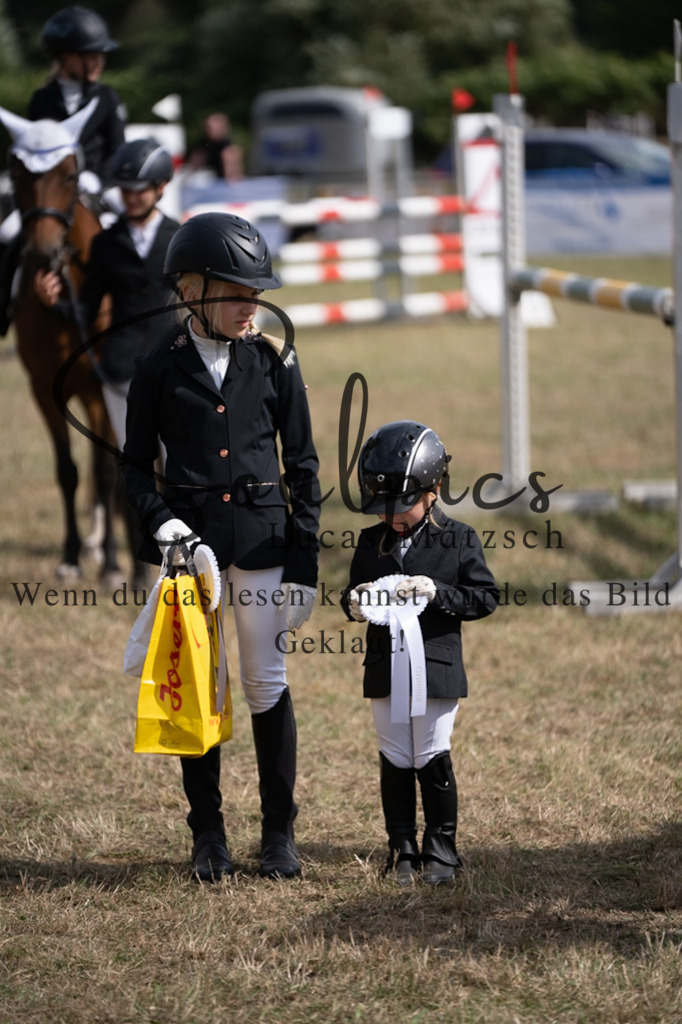 A7V08971 | Pferdefotograf