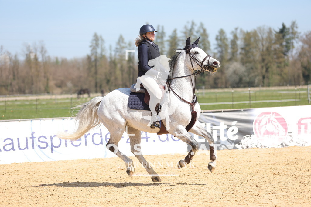 0P6A0793 | Willkommen bei Brunnmayr - Design & Fotografie – Ihrem Spezialisten für Reitturniere und Pferdeveranstaltungen in Oberösterreich, Salzburg und Bayern! Seit über 17 Jahren sind wir leidenschaftlich dabei.