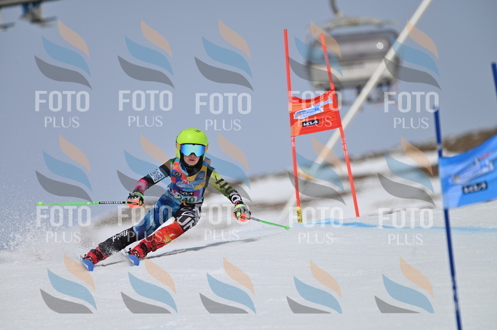 BGV_4909 | holidayphoto