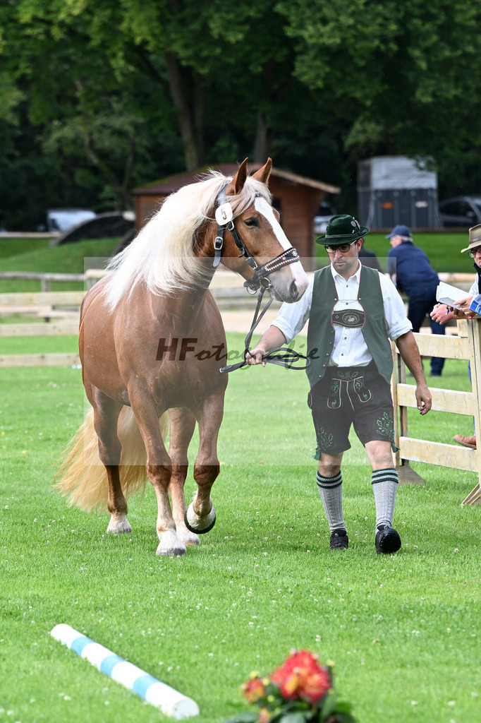 Kat-Nr. 5 Iluna v. Salieri S_Steffl_22240090 | hf-fotografie - Realizzato con Pictrs.com