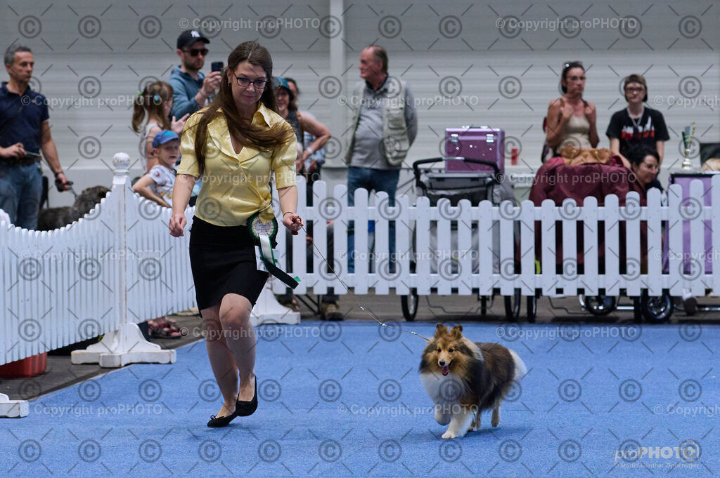 202406_ÖKV-IHA-Tulln24_DSC_3805 | proPHOTO - Realisiert mit Pictrs.com