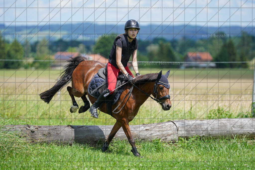 20240622-FAH07264 | Turnierfotografen Bayern, Reitsportbilder aus dem Geländekurs mit Felix Etzel auf dem Gut Waitzacker 2024