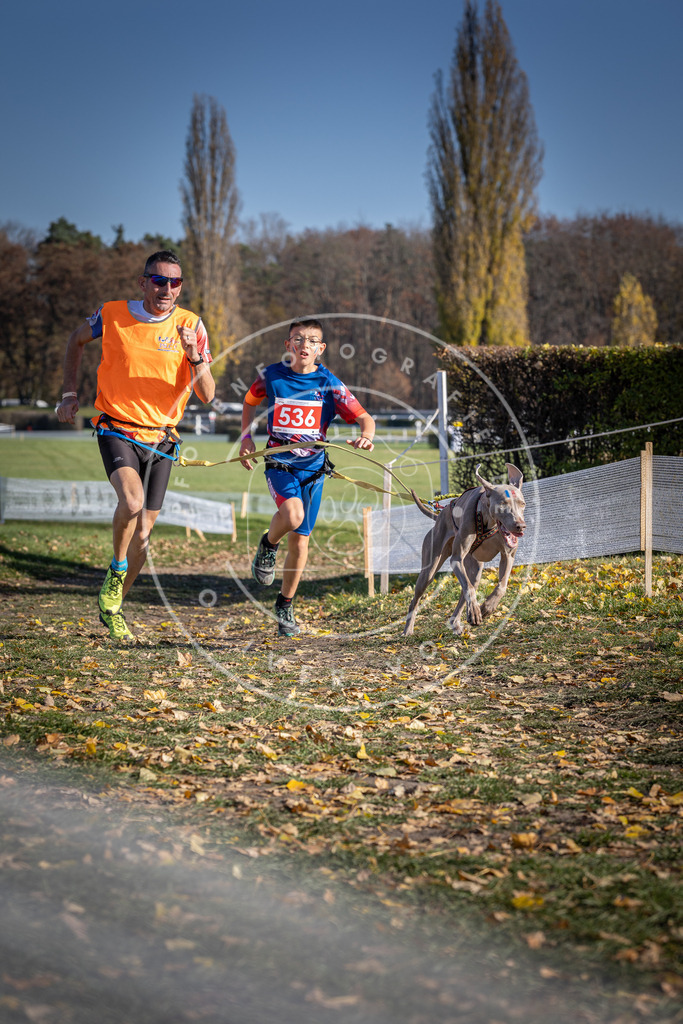 CaniXpix_DV3A8311 | Hundefotografie, Tierfotograf, Pfotenfotografie, Fotoshooting Hund, Hunde Portrait, Hundesport, Hundeportraits, Heideshooting, Hunde, Sportfotograf, Hundefotograf, Turnierhundsport, THS,  - Realisiert mit Pictrs.com