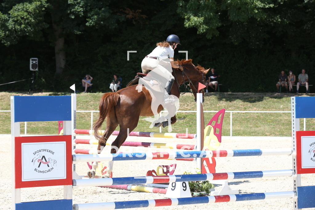 PP017495 | Willkommen bei Brunnmayr - Design & Fotografie – Ihrem Spezialisten für Reitturniere und Pferdeveranstaltungen in Oberösterreich, Salzburg und Bayern! Seit über 17 Jahren sind wir leidenschaftlich dabei.
