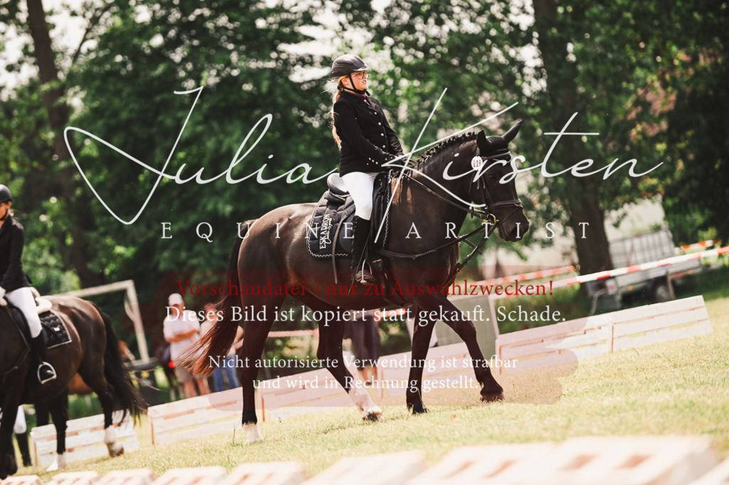 DSC_6184 | Pferde- und Turnierfotografie in Westsachsen. Pferdeportraits, Auftragszeichnungen und intuitive Kunst.