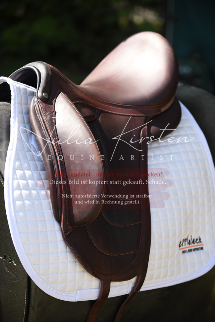 DSC_8887 | Pferde- und Turnierfotografie in Westsachsen. Pferdeportraits, Auftragszeichnungen und intuitive Kunst.