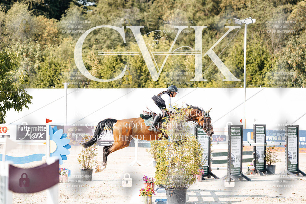 CK902449 | Turnierfotografie Pferdefotografie Trier Rheinland-Pfalz Pferdesport Reitsport Tierfotografie Sportfotografie Pferdevideo Pferdevideografie Equestrianvideography equestrianphotography  - Realisiert mit Pictrs.com