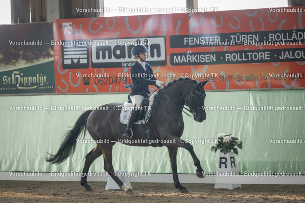 _D5A4150 | Emotionale Pferde- & People-Fotografie rund um Heidelberg, Leimen & Umgebung. Natürliche Fotos von Pferd, Mensch & Familie. Jetzt Termin sichern!