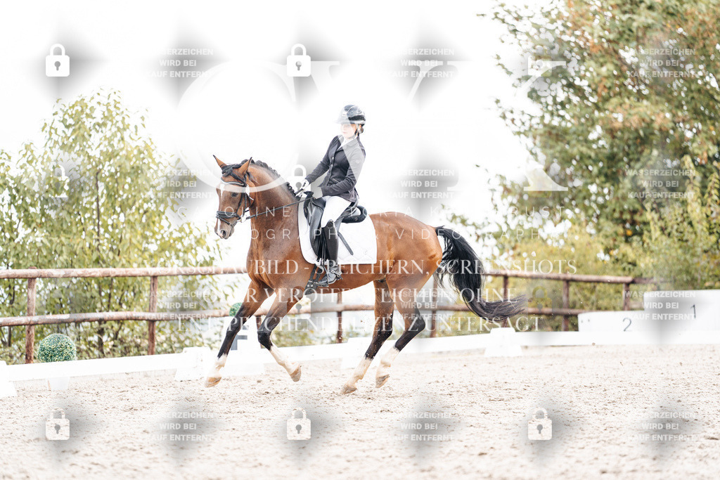 CK900974 | Turnierfotografie Pferdefotografie Trier Rheinland-Pfalz Pferdesport Reitsport Tierfotografie Sportfotografie Pferdevideo Pferdevideografie Equestrianvideography equestrianphotography  - Realisiert mit Pictrs.com